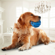 Piłka do czyszczenia zębów dla psów- duża