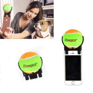 Piłka na psie selfie