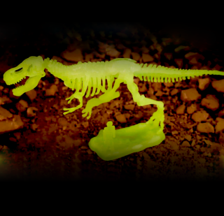 Zestaw dla małych archeologów - Tyranosaurus Rex