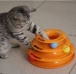 Zabawka dla kotów - piramida
