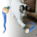 Gra dla kotów - piłka z dzwonkiem