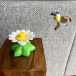 Zabawka dla kotów – latający koliber