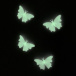 Świecące motyle