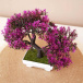Sztuczne bonsai - fioletowe